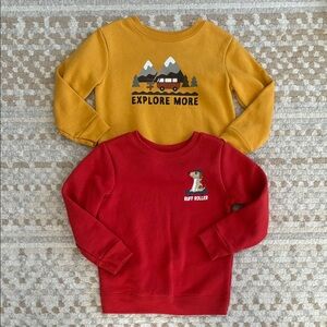 24 Month Crew Neck Sweatshirt BUNDLE